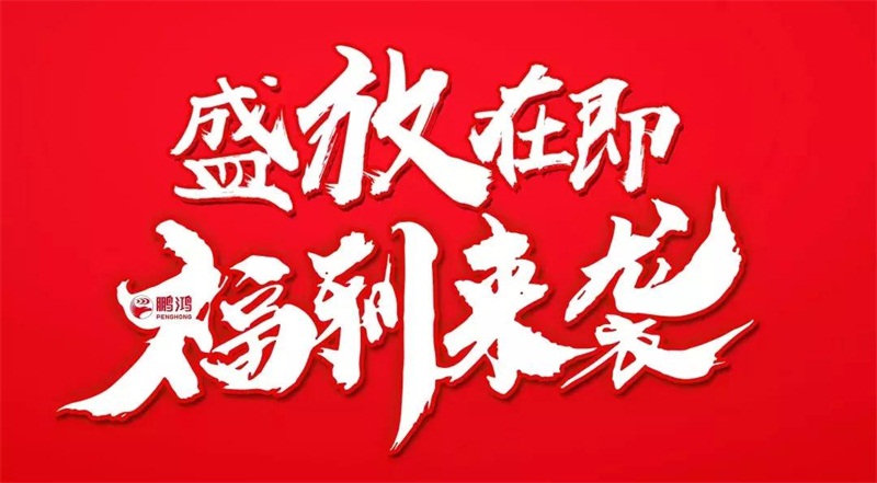 再拓疆域！鵬鴻We+定制&紅星美凱龍聯袂亮相烏魯木齊