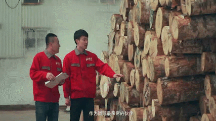 從一張板材到千萬家 兌現生活的美好