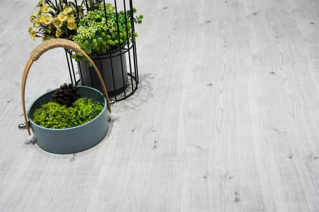 鵬鴻強化地板伊麗莎白系列-5806