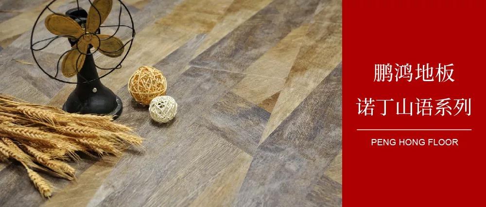 向光而生，親近生活的高級感——鵬鴻地板諾丁山語系列