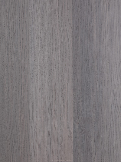 生態板——霧光星雨